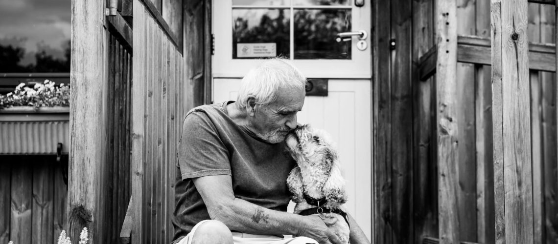 DogPhotographyYorkshire-featured